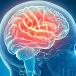 Neuroftalmologia